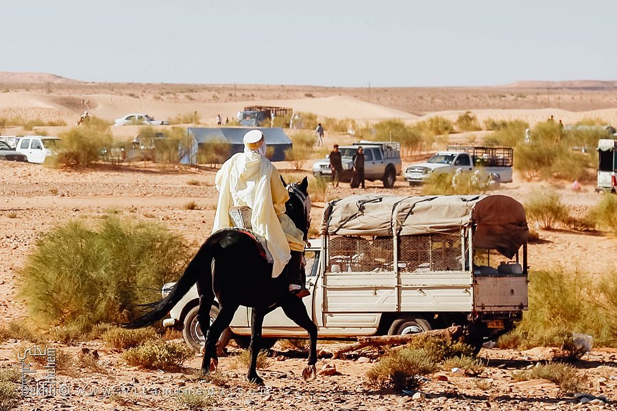 Contraste saisissant : le cheval noir et son cavalier en blanc