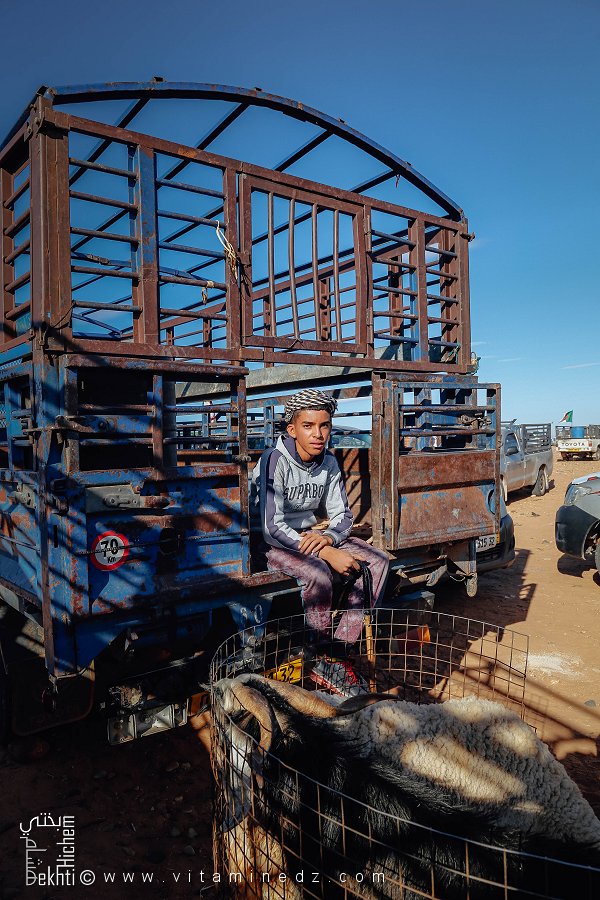 Petit vendeur de bétail : la relève des traditions