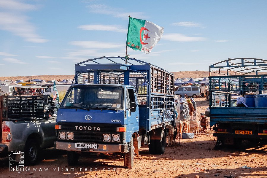 Camion au drapeau algérien : fierté nationale en mouvement