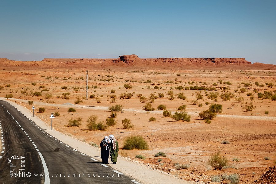 Femmes en pèlerinage à la zaouïa de Sidi Bahaus El Hadj : un hommage de foi