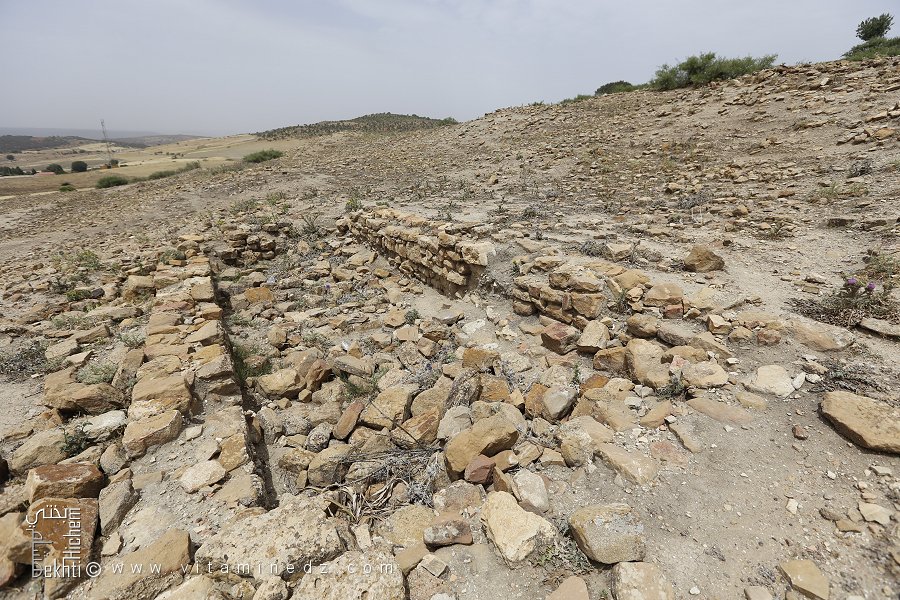 تقدامت  ولاية تيارت