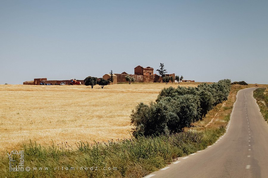 Route vers Hounet, Ferme coloniale, Oliveraies, Commune de Hounet, Wilaya de Saïda