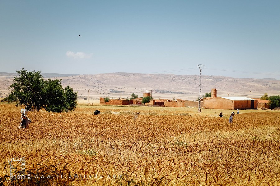Ferme coloniale de l'époque de l'occupation française, Commune de Hounet, Wilaya de Saïda