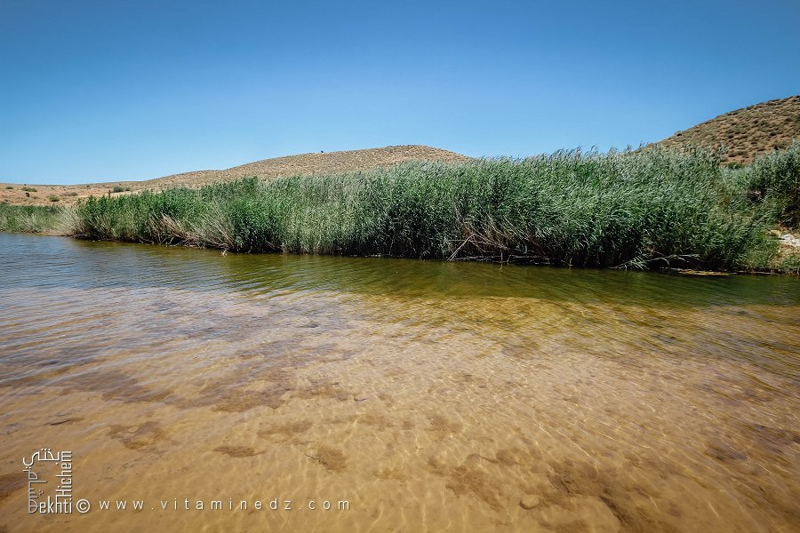 Oued Hounet rempli après les dernières pluies, Commune de Hounet, Wilaya de Saïda