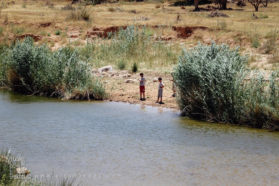 Petits enfants jouant aux pêcheurs sur les abords de Oued Hounet, Commune de Hounet, Wilaya de Saïda