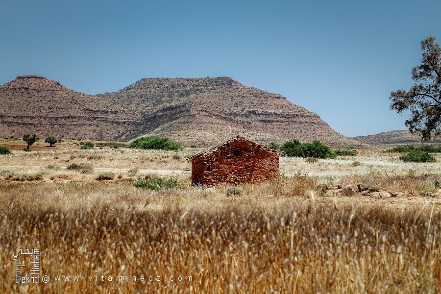 Maison ancienne de pierre, champs de blé, Commune de Hounet, Wilaya de Saïda