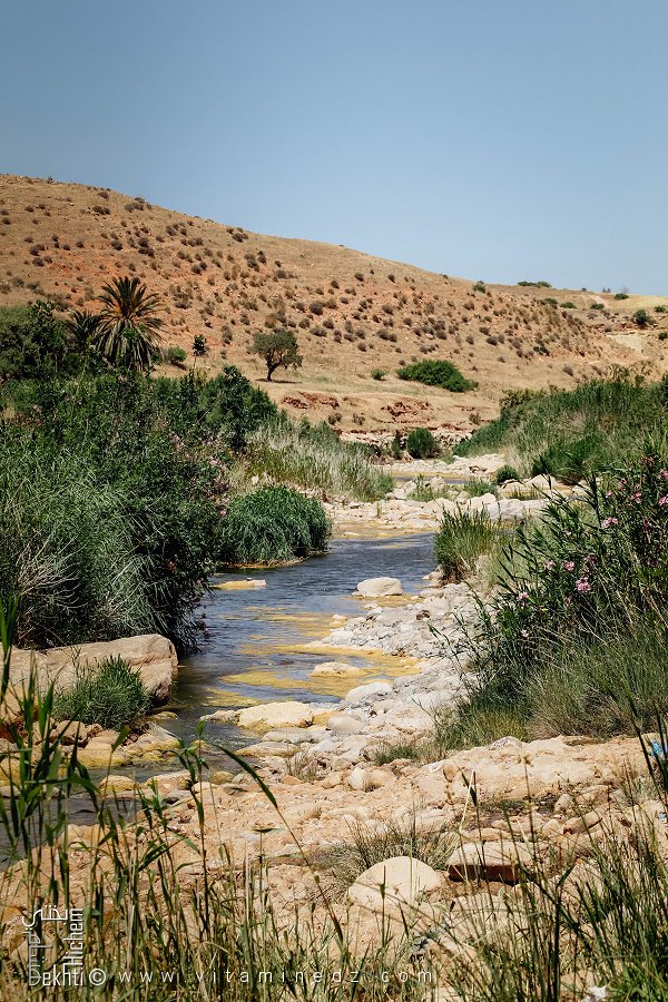 Imposant Oued Hounet, calme mais pouvant se déchaîner à tout moment, Commune de Hounet, Wilaya de Saïda