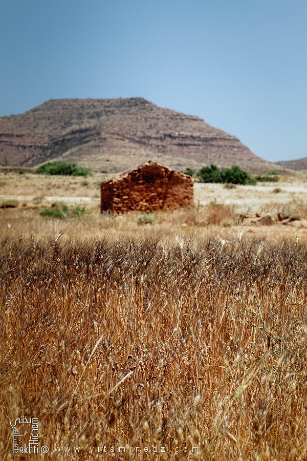 Maison abandonnée en pierre, Commune de Hounet, Wilaya de Saïda
