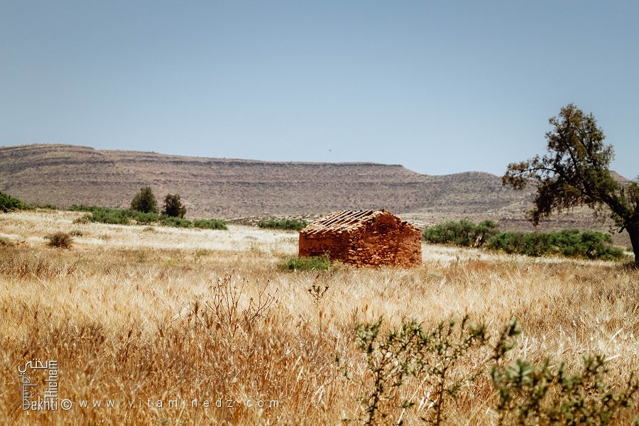 منزل مهجور من الحجر، بلدية هونة، ولاية سعيدة