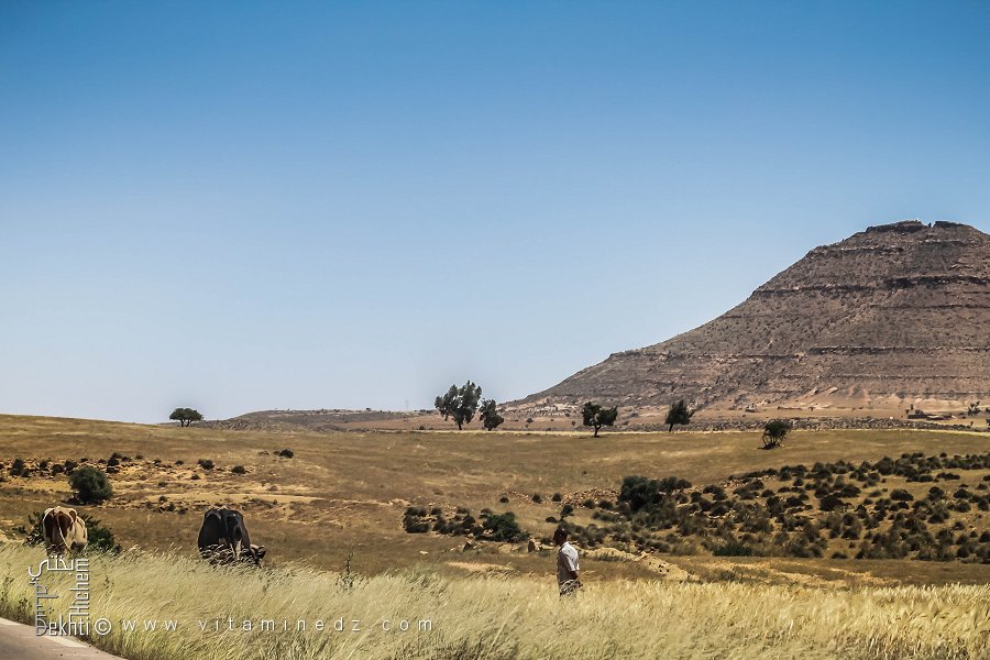 Montagnes de la région de Hounet, Commune de Hounet, Wilaya de Saïda
