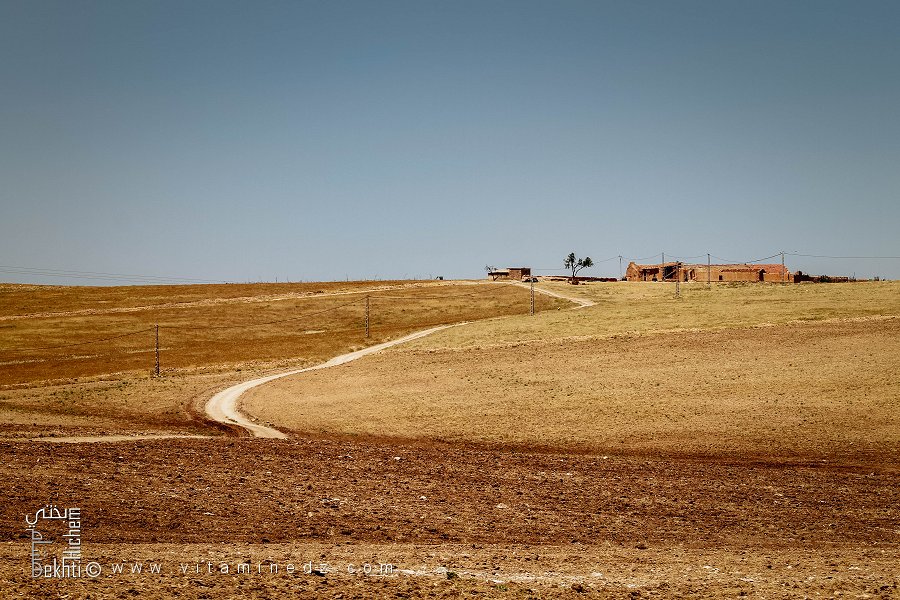 Ferme isolée, Commune de Hounet, Wilaya de Saïda