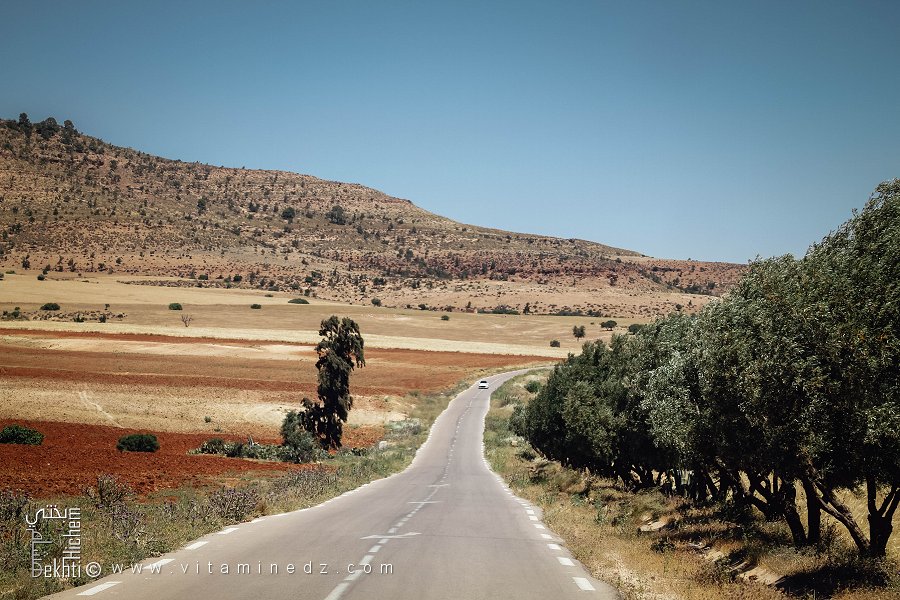 بلدية هونت، ولاية سعيدة