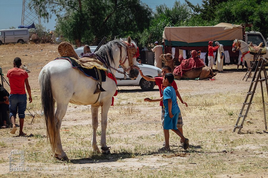 طفل مندهش أمام حصان، وعدة هونت، ولاية سعيدة، مايو 2015