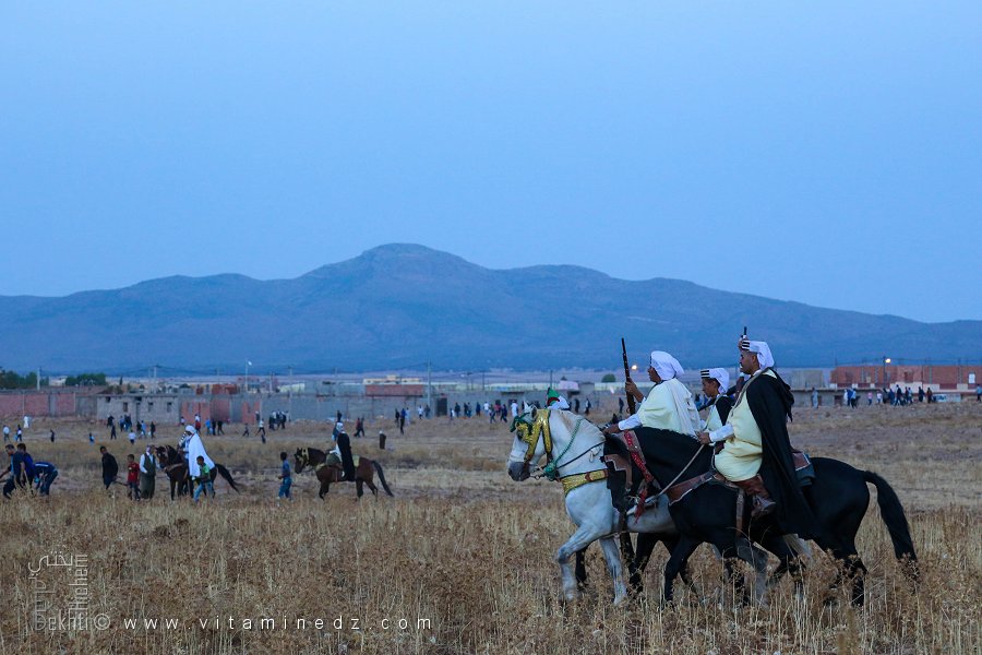 فرسان يعبرون الحقول الذهبية، وعدة الڨور، ولاية تلمسان، أكتوبر 2016