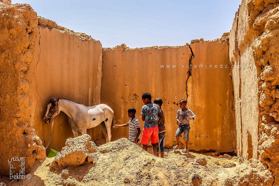 Curiosité enfantine devant un cheval dans une maison en ruine de l'ancien Ksar