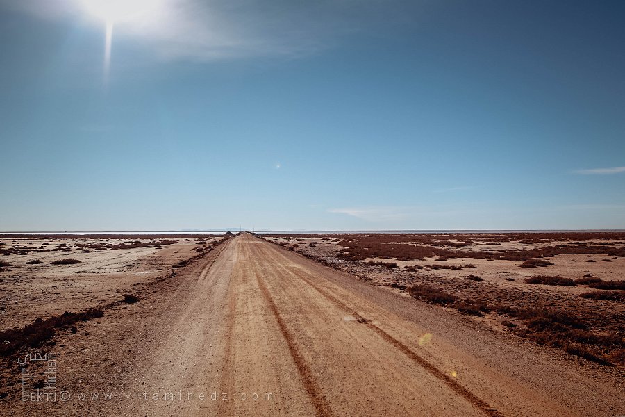 Rouler sur Chott Chergui : Une aventure au cœur du désert salé