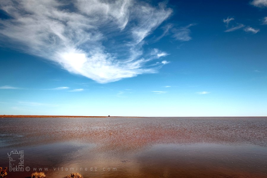 شط الشركي: صحراء تحولت بعد أمطار أكتوبر 2024