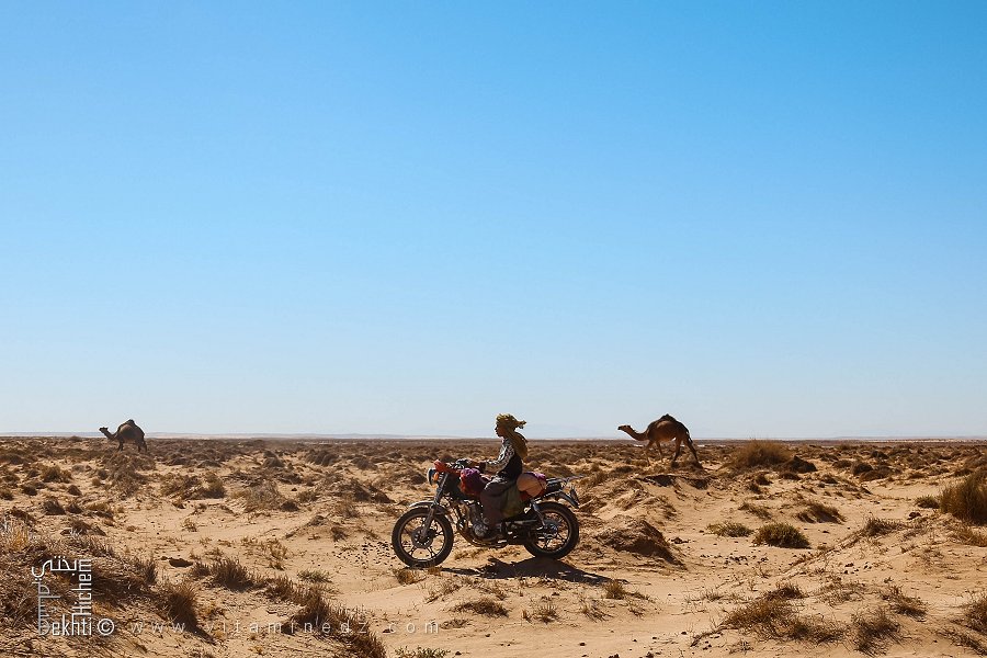 Chott El Chergui à sec : L’été 2022, un désert sans fin