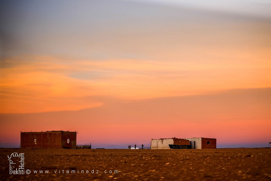 La Steppe de Rogassa (Wilaya d'El Bayadh)