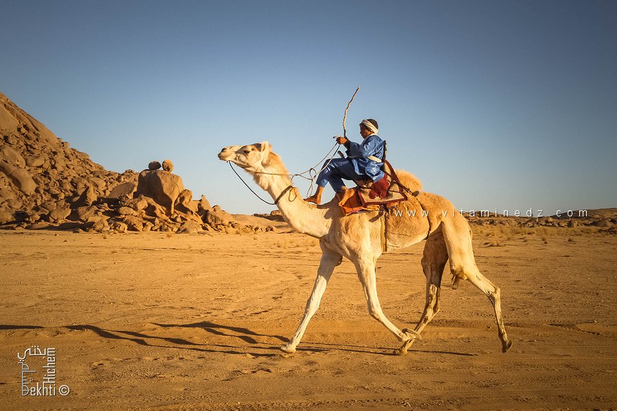 عزيمة الجمال واندفاع الصحراء - احتفالية الجمل (تيوت، تمنراست، ديسمبر 2013)