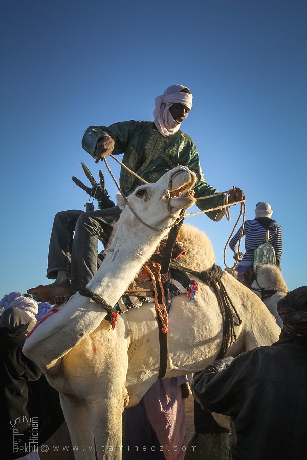 التناغم بين الإنسان والحيوان - احتفالية الجمل (تيوت، تمنراست، ديسمبر 2013)
