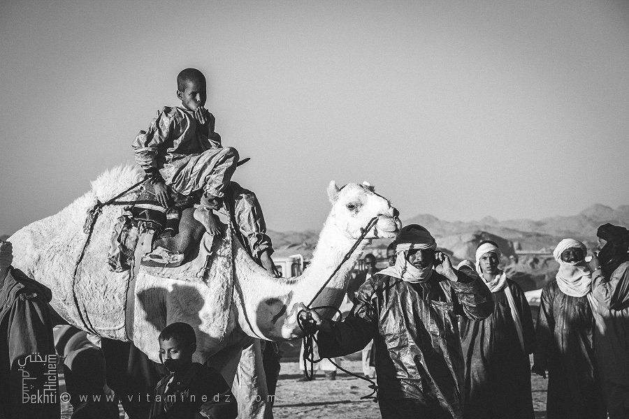 L’héritage familial du désert - Fête du chameau (Tit, Tamanrasset, Décembre 2013)