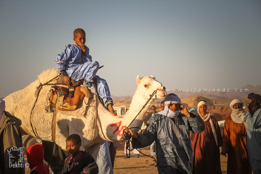 إرث العائلة في صحراء - احتفالية الجمل (تيوت، تمنراست، ديسمبر 2013)
