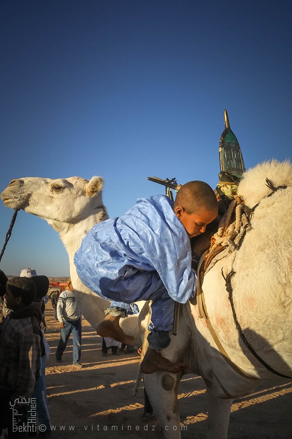 حنان الصحراء - احتفالية الجمل (تيوت، تمنراست، ديسمبر 2013)