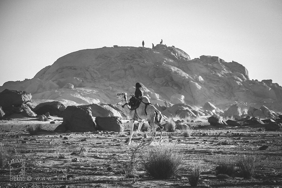 L’esprit du désert face à la grandeur de la montagne - Fête du chameau (Tit, Tamanrasset, Décembre 2013)