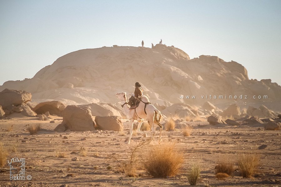 روح الصحراء أمام عظمة الجبل - احتفالية الجمل (تيوت، تمنراست، ديسمبر 2013)