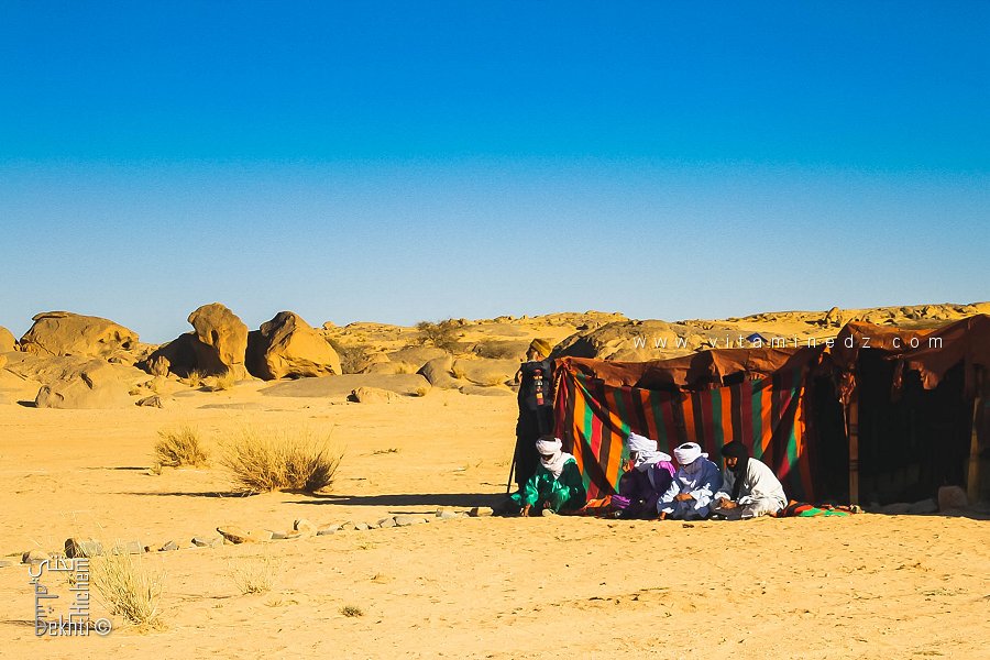 L'ombre protectrice du désert - Fête du chameau (Tit, Tamanrasset, Décembre 2013)