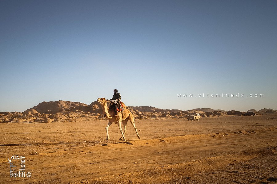 عزيمة الجمال - احتفالية الجمل (تيت، تمنراست، ديسمبر 2013)