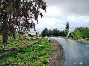 La vedure de Sidi Hosni - Tiaret