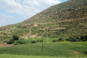 MAISONS A L'OMBRE DU DJEBEL