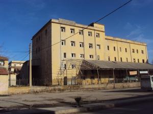 LES MOULINS DE TIARET