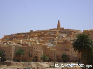 مظهر الخارجي لقصر بونورة ..........