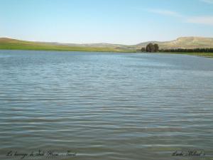 Le barrage de Sidi Hosni - Tiaret