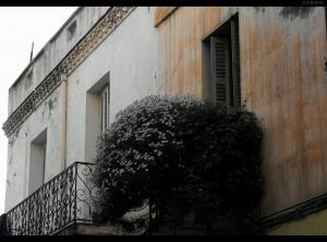 Il est toujours important de lever la tête quand tu marches. La vie, ça ne se passe pas par terre. Tu lèves les yeux et tu aperçois du linge aux balcons et des enfants aux fenêtres, un peu de joie, de la misère quelquefois...