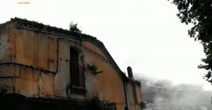 Plus le monde se mondialise, plus la terre se terrorise.miliana