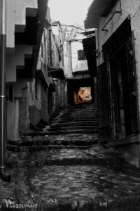 Ruelle