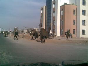 fantazia en ville,un paradoxe eternel.