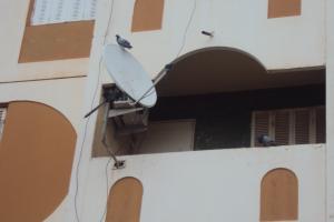 pigeon sur un balcon
