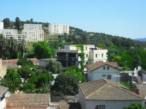 جمال المدينة الخضراء