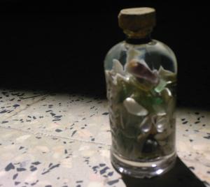 Aquarium son poisson :=)