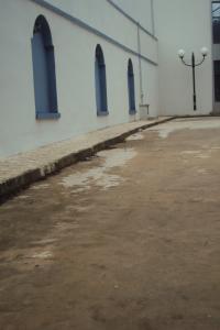 muettes les fenetres