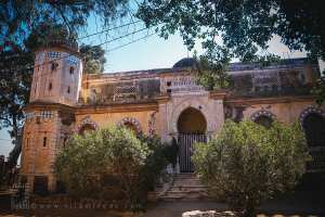 Domaine de la montagne des Lions (Oran)