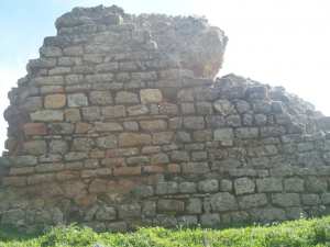 تاهرت/ تاقدمت