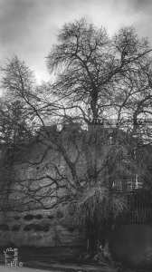 Restes de l'enceinte (Muraille) de Tlemcen à Bab Wahran (Epoque Zianide)