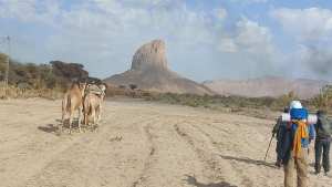 1ere étape du trek du Ahagar 125 km