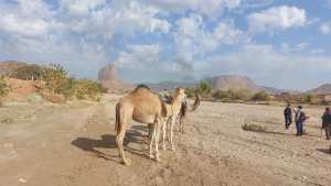 1ere étape du trek du Ahagar 125 km